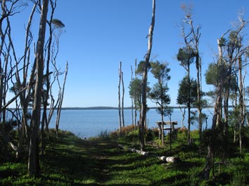 Lodge Dargo path to Lake Victoria at Waterfront Retreat at Wattle Point, Gippsland Lakes Accommodation